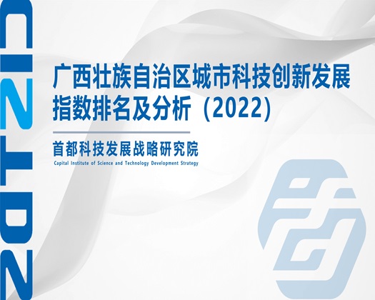 黄色视频在线观看让wwx【成果发布】广西壮族自治区城市科技创新发展指数排名及分析（2022）